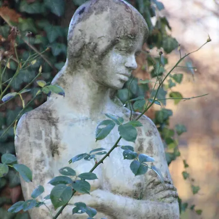 Appartamento Wohlfuehloase Fuer Und Gartenliebhaber Walkenried