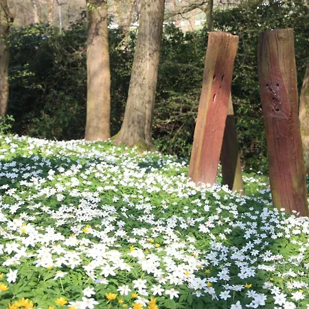 Daire Wohlfuehloase Fuer Und Gartenliebhaber *
